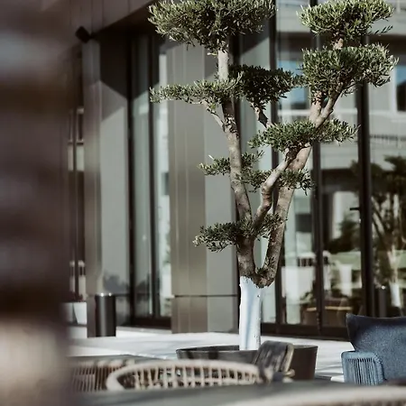 Hotel Naos Luxury 4*