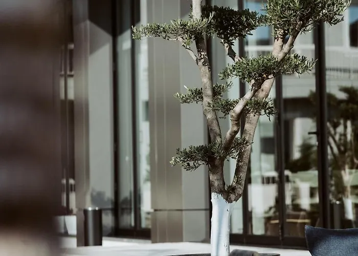 Hotel Naos Luxury *